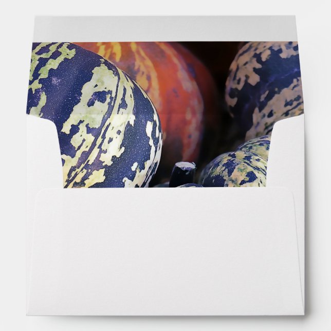 Rustic Striped Pumpkins  Envelope (Back (Bottom))