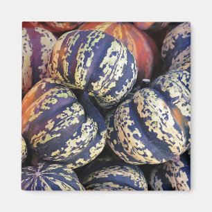 Rustic Striped Pumpkins Magnet