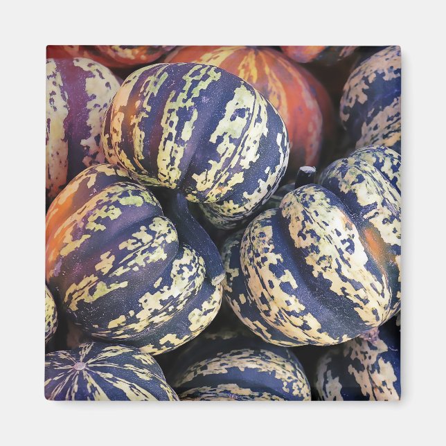 Rustic Striped Pumpkins  Magnet (Front)
