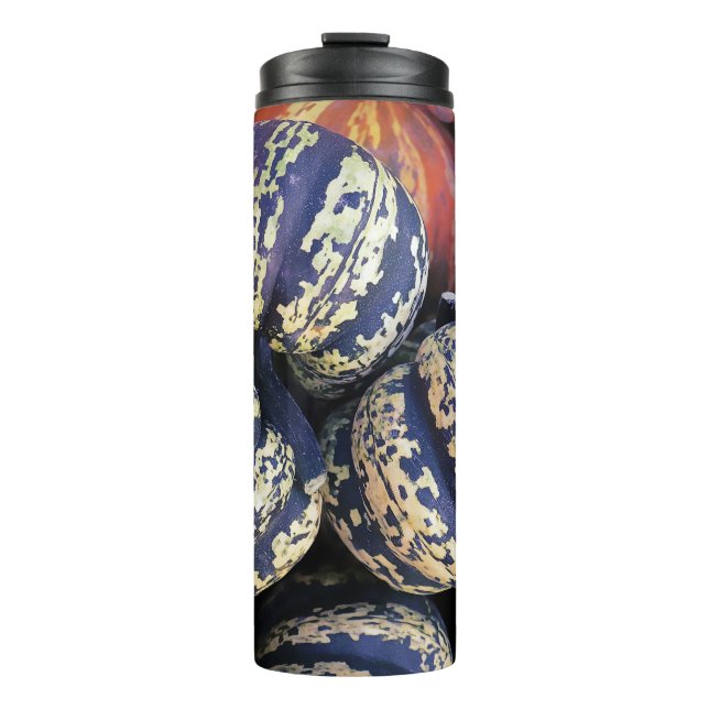 Rustic Striped Pumpkins  Thermal Tumbler (Front)