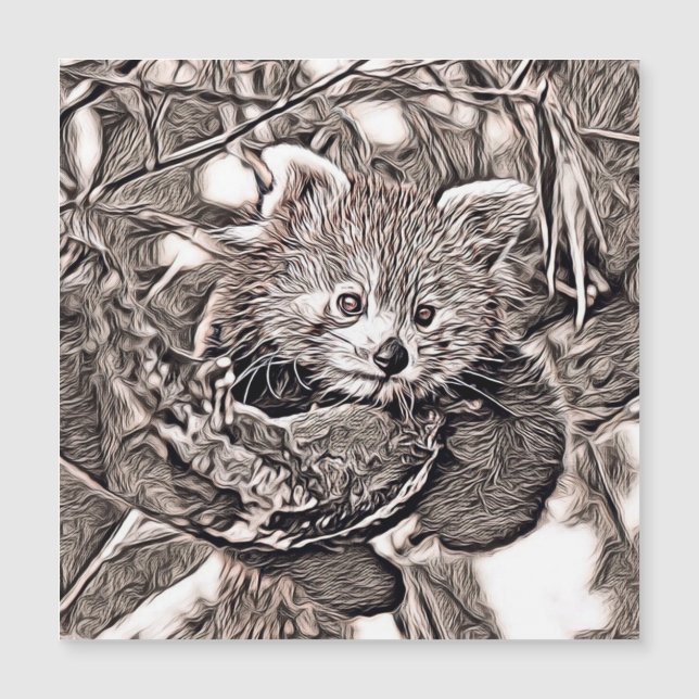 Rustic Style - Red Panda (Front)