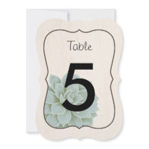 Rustic Succulent Table Numbers