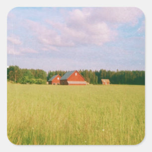 Rustic summer field, Helsingia, Sweden Square Sticker