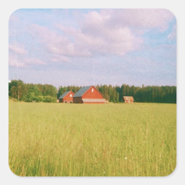 Rustic summer field, Helsingia, Sweden Square Sticker (Front)
