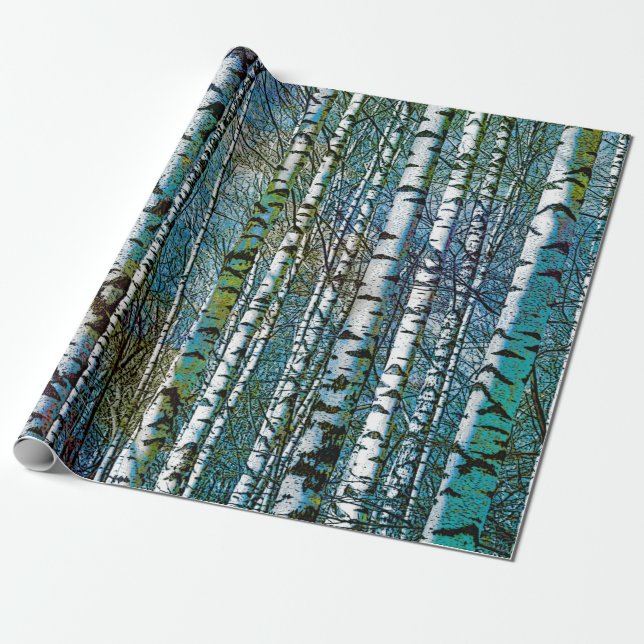 Rustic Teal Birch Trees Wrapping Paper (Unrolled)