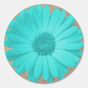 Rustic Teal Gerber Daisy Round Stickers Seals