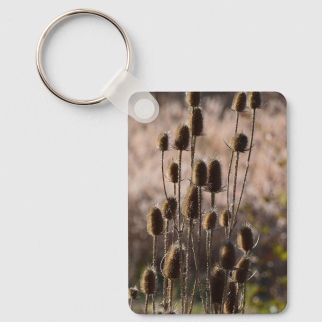 Rustic Teasel Thistle Dried Plant Pattern Keychain (Front)