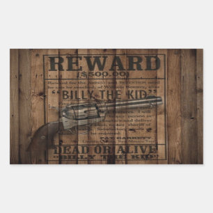 rustic texas star cowboy western country dual gun sticker