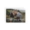 Rustic Thank You So Much Script Photo Wedding
