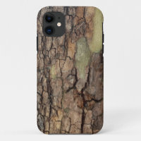 Rustic tree bark, outdoor natural pattern 
