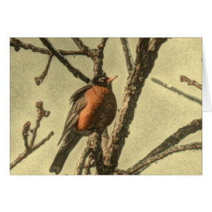 Rustic Tree branches  Michigan State Bird Robin