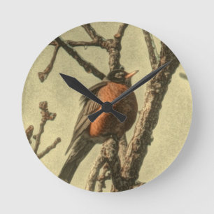 Rustic Tree branches  Michigan State Bird Robin Round Clock