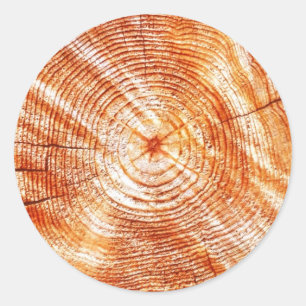 Rustic Tree Rings Wood Design Gifts Classic Round Sticker