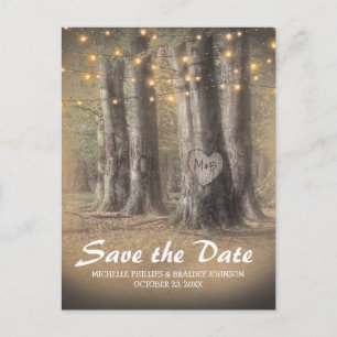 Rustic Tree & String Lights Wedding Save the Date Announcement Postcard