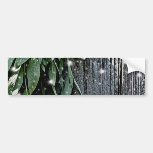 Rustic twinkle lights  Sage Bumper Sticker