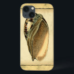 Rustic Vintage Seashell iPhone 13 Case<br><div class="desc">This artwork by Vision Studio captures some of the best ocean sea life's. Get this rustic piece of artwork of this Conch shell. Take the ocean with you everywhere you go.</div>