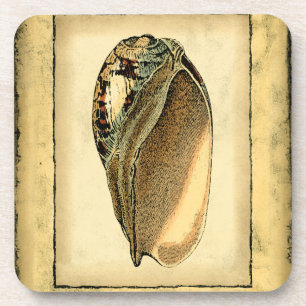 Rustic Vintage Seashell Coaster