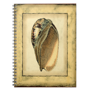 Rustic Vintage Seashell Notebook