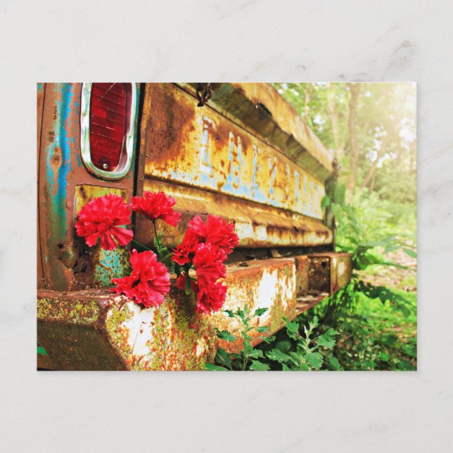 Rustic Vintage Truck Postcard (Front)