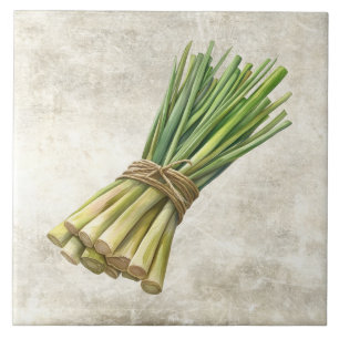 Rustic Watercolor Herbs Leeks with Twine Design Tile