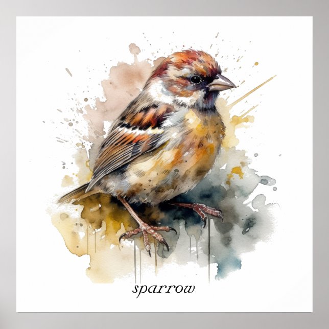 Rustic Watercolor Sparrow, custom Poster (Front)