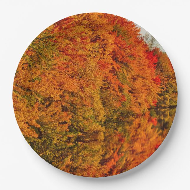 Rustic Wedding Amazing Fall Foliage Stunning Photo Paper Plate (Front)