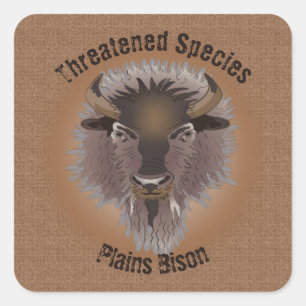Rustic Western Plains Bison Square Sticker