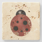 Rustic Whimsical Primitive Floral Ladybug