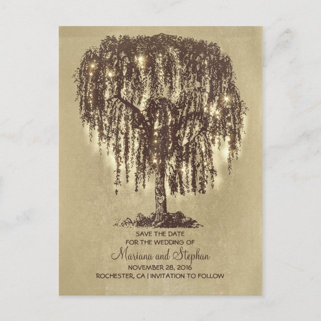 rustic willow tree & string lights save the date announcement postcard (Front)