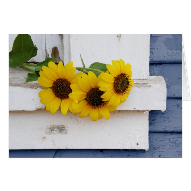 Rustic Windowsill (Front Horizontal)