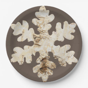 Rustic winter Birchwood snowflake brown white Paper Plate
