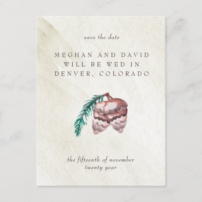 Rustic Winter Woodland Pine Cone Save the Date Announcement Postcard (Front)