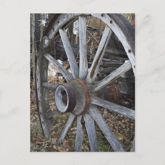 Rustic Wooden Wagon Wheel Postcard (Front)