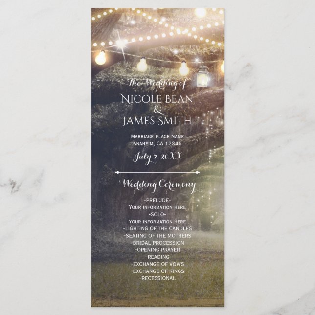 Rustic Woods Enchanted Forest & Lights Programme (Devant)