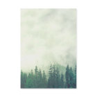 Rustic Woods Green Mountain Pine Trees Wedding