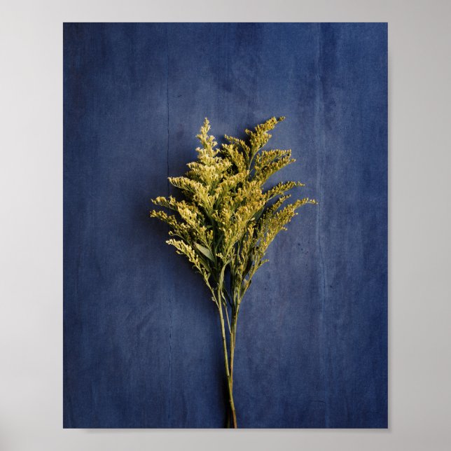 Rustic Yellow Goldenrod Botanical Photo Poster (Front)