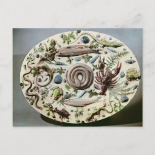 Rustique Figuline' dish with a white background Postcard