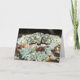 Rusty and Crusty Farm Equipment Card