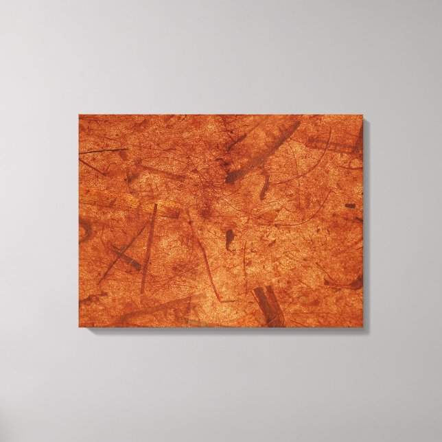 Rusty Brown Banana Paper Wrapped Canvas Print (Front)