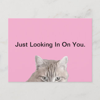 Rusty La Carte Postale Rose Chat