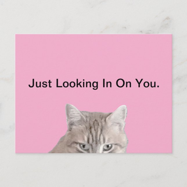 Rusty La Carte Postale Rose Chat (Devant)