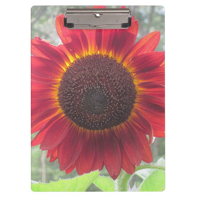 Rusty Red Sunflower Clipboard (Front)