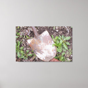 Rusty Shovel in the Weeds Canvas Print