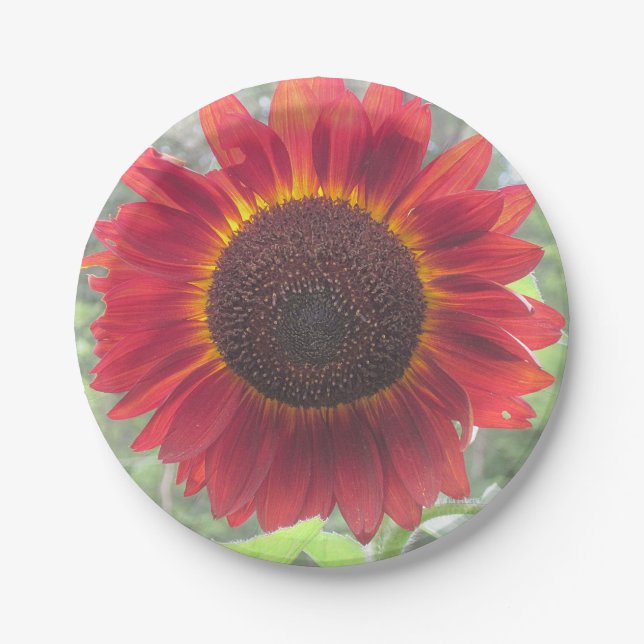 Rusty Sunflower Paper Plate (Front)