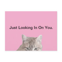 Rusty The Cat Pink Postcard