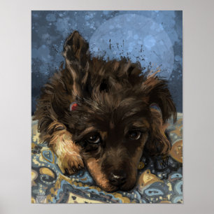 Rusty the Poodle Poster