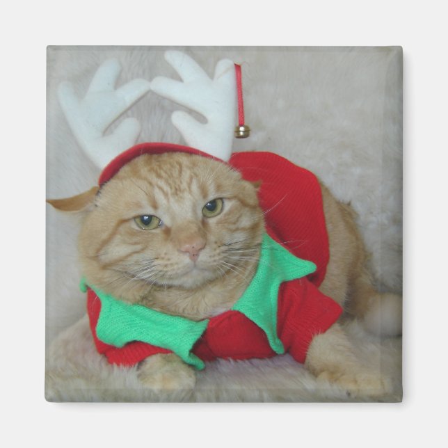 Rusty the Reindeer Elf Magnet (Front)