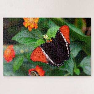 Rusty Tipped Page Butterfly . Jigsaw Puzzle