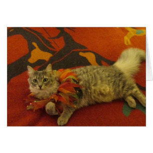 Ruthie le chat
