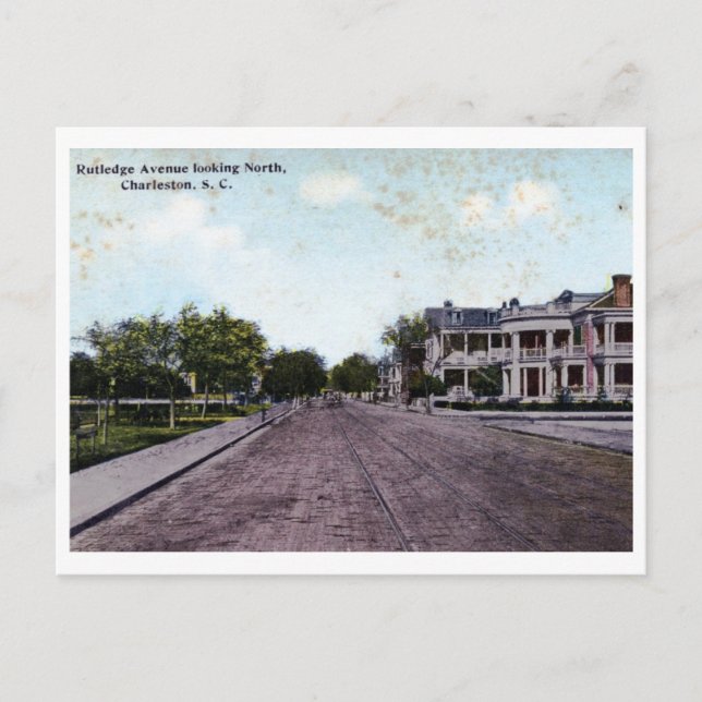 Rutledge Ave., Charleston SC Vintage Postcard (Front)